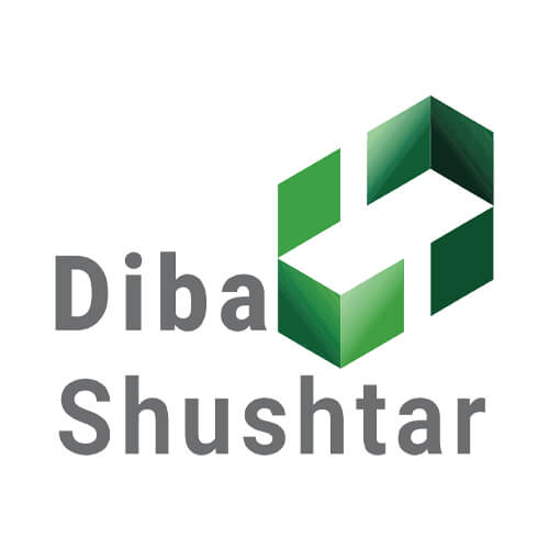dsipaper-en Diba Shushtar Pulp and Paper