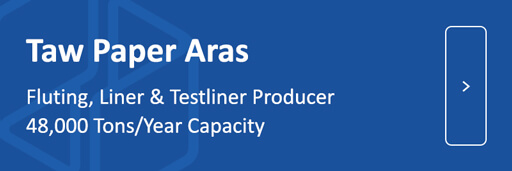 Fluting, liner and testliner producer - 48,000 tons/year capacity